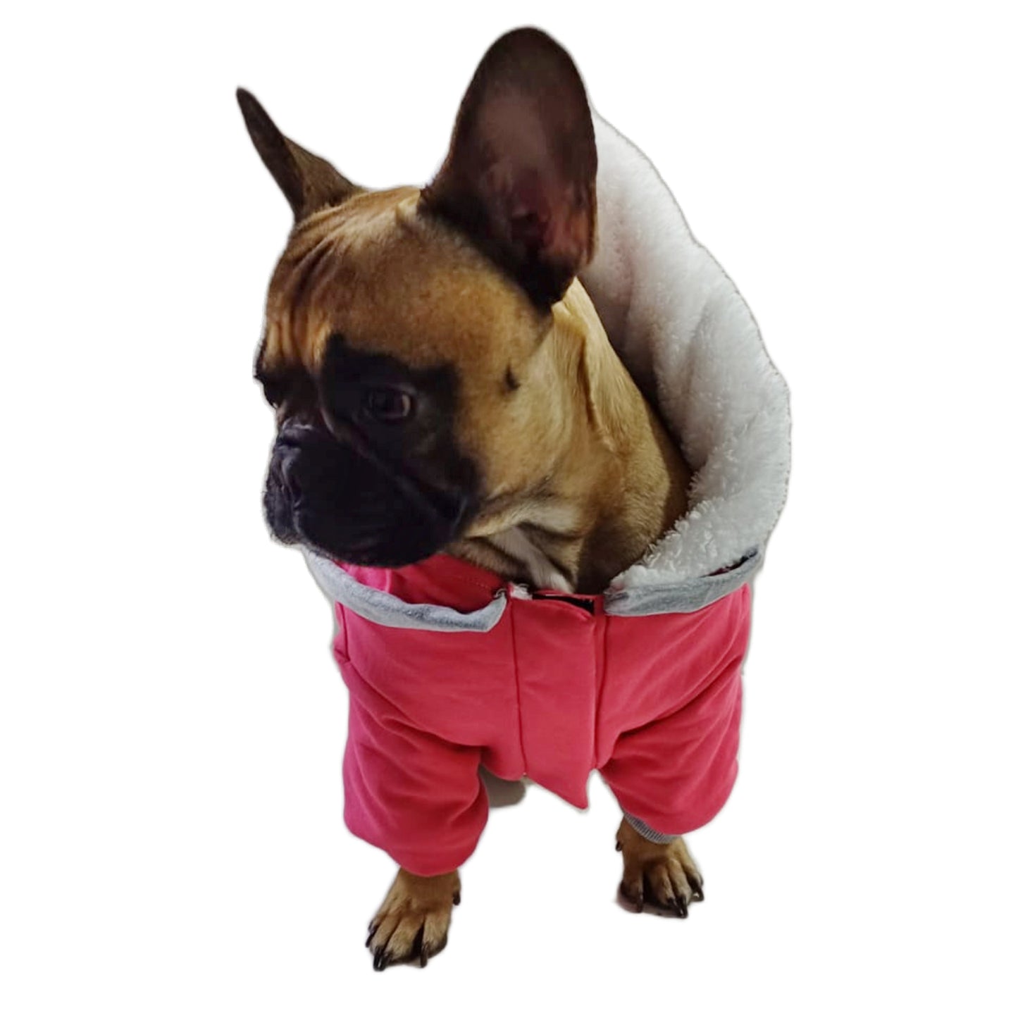 Polerón Chaleco Abrigo Para Perros Bulldog Frances Talla Unica - Sandia