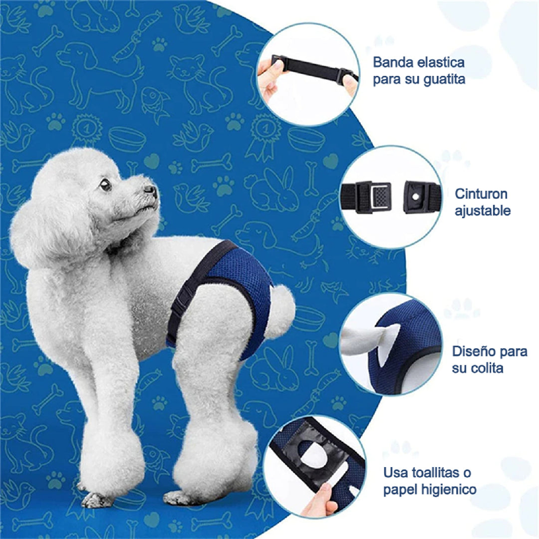 Calzones Para Celo Sanitarios Perritas Transpirables S - XL
