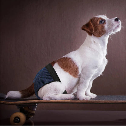 Calzones Para Celo Sanitarios Perritas Transpirables S - XL