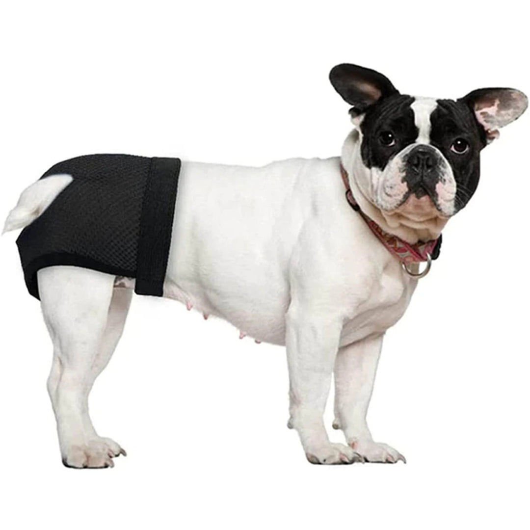 Calzones Para Celo Sanitarios Perritas Transpirables S - XL