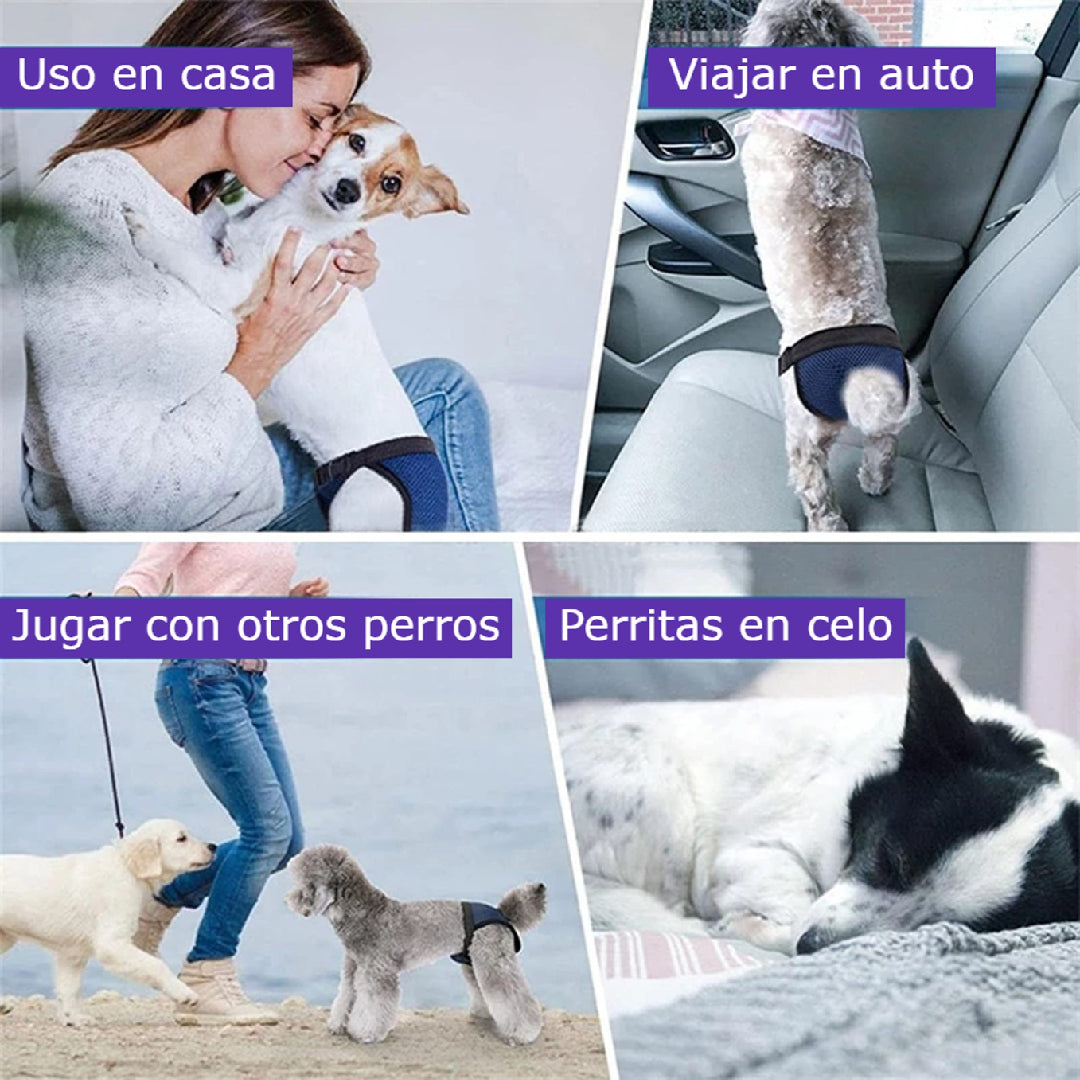Calzones Para Celo Sanitarios Perritas Transpirables S - XL