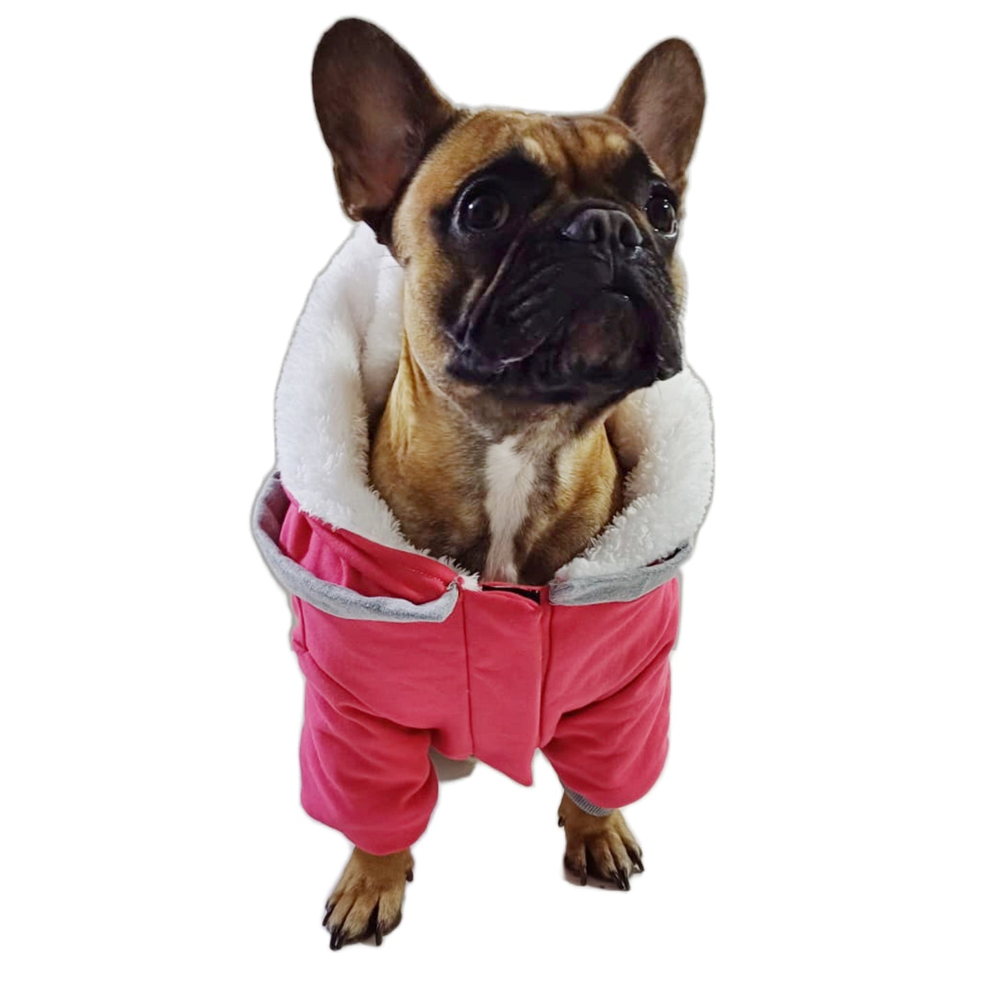 Polerón Chaleco Abrigo Para Perros Bulldog Frances Talla Unica - Sandia